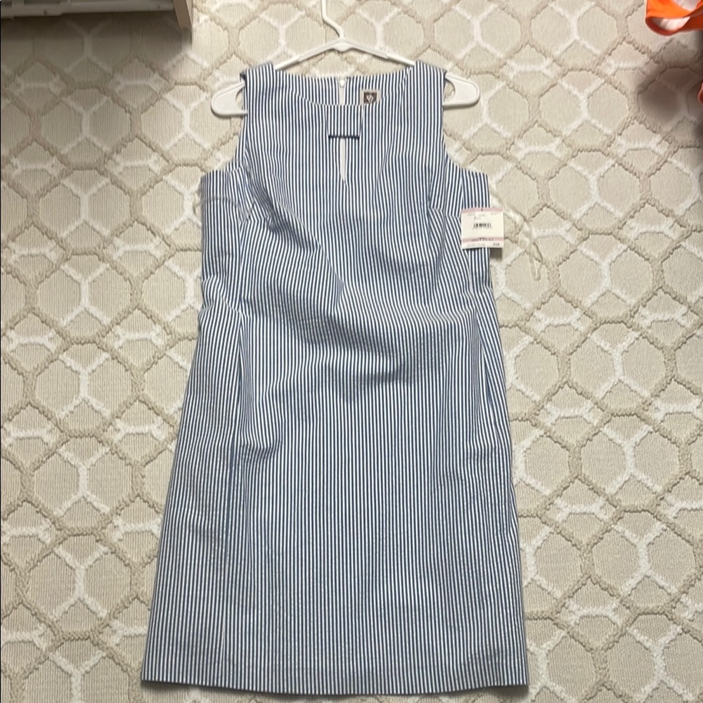Blue Striped Women's Dress